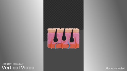 3D Hair Nerves | Alpha Channel