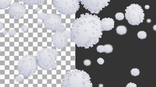 3D-Animation von Lymphozyten und biologischem Immunsystem | Alpha-Kanal