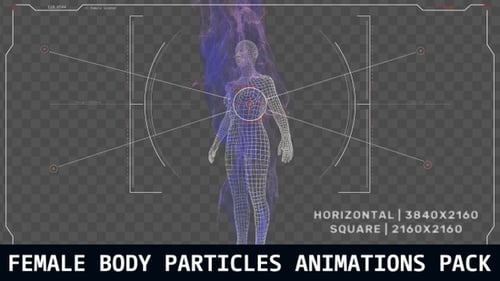 Female Body Particles Animations Pack