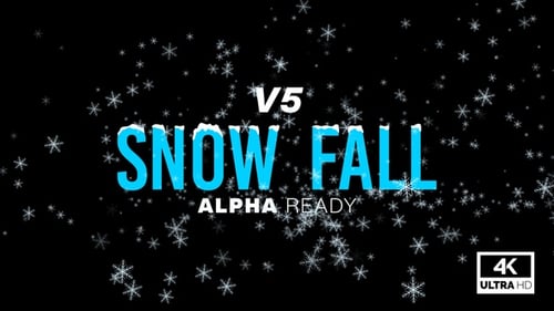 Snowfall Loop V5