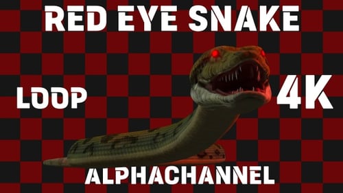 Boucle d'animation Snake Red Eye 4k
