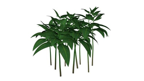 Animated Green Foliage Swaying in Wind Loop