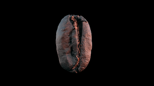Realistic Coffee Bean Slowly Spinning on a Black Background