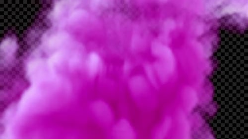 Dynamic Magenta Smoke Burst Alpha Channel Reveal