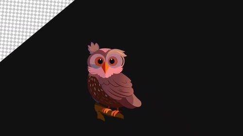 Owl 2D Animations | Alpha Channel
