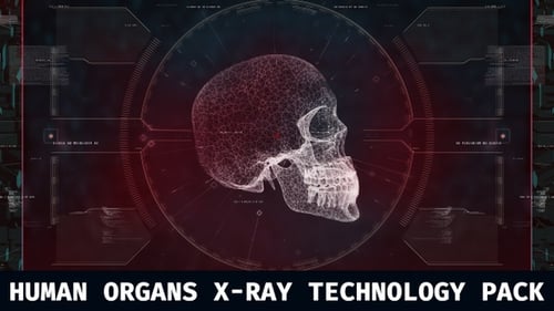 Futuristic Holographic Human Skeleton Medical Interface Animation