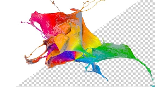 Dynamic Colorful Fluid Paint Splash Reveal