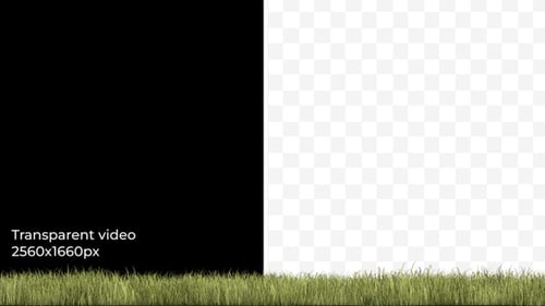 Realistic Swaying Green Grass Animated Bottom Border Element
