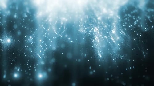 Snow Stars