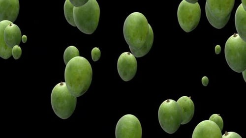 Green Mango Falling