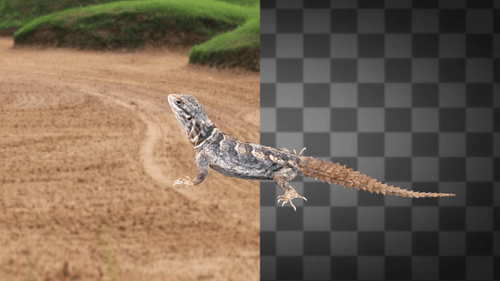Lizard Dancing Idle 2