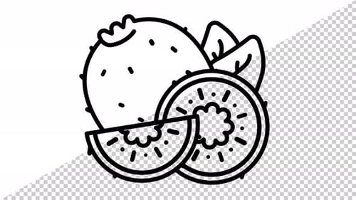 Summer Line Kiwi Icon Looping Animation with Transparent Background