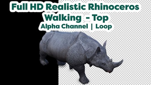Animated 3D Rhinoceros Walking Cycle