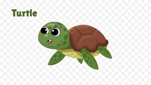 Cute Flat Design Cartoon Turtle Character Animation