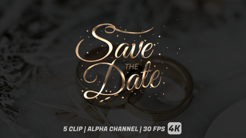 Save the Date Metallic Calligraphy Title Animation Pack
