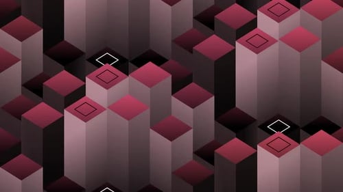 Isometric Square Red Vector Wild Moving