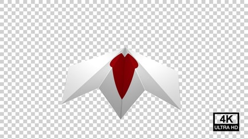 Abstract Origami Folding Reveal Transition Animation