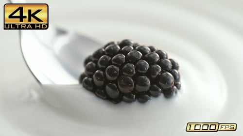 Blackberries and creamy white yogurt with spoon rising