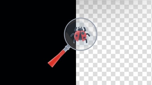 3D Animated Magnifying Glass Inspecting a Ladybug