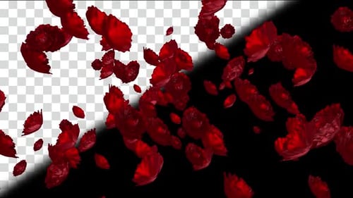 Fleurs roses