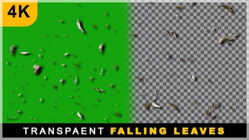 Realistisches Rendering, das von oben nach unten fällt, Blätter der Herbstsaison auf transparentem Hintergrund