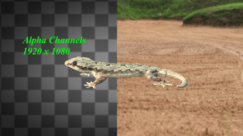Canaux Gecko Idle Alpha