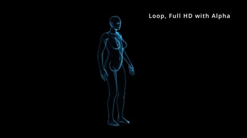 Rotating Blue Wireframe Female Body Scan Loop