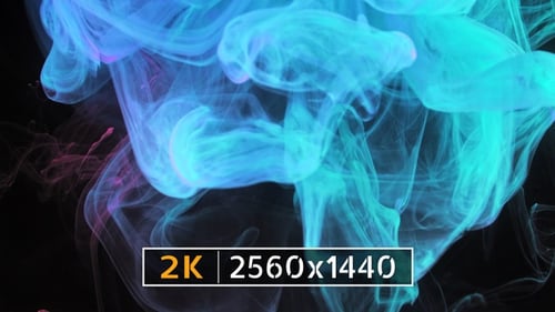 Abstract Blue and Pink Smoke Swirls on Black