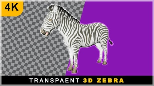 3D Realistic Render Cartoon Zebra Running On Transparent Background