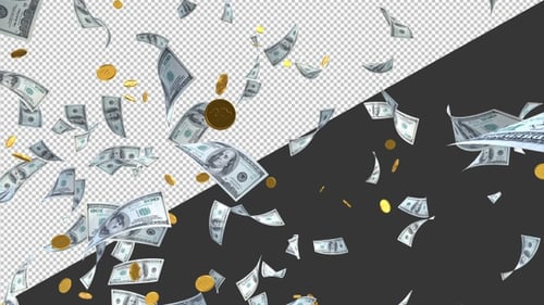 3D Money Rain | Alpha Channel