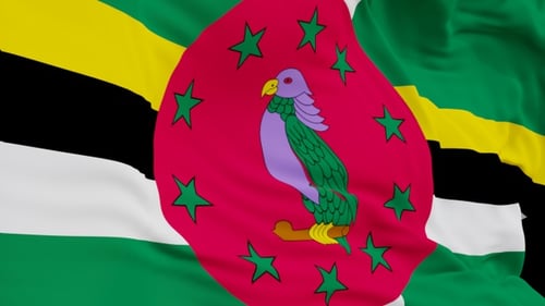 The Dominica with alpha channel waving in the wind in slow motion