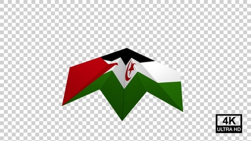 Drapeau de l'avion en papier du Sahara occidental