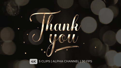 Thank You Text Animation Lettering