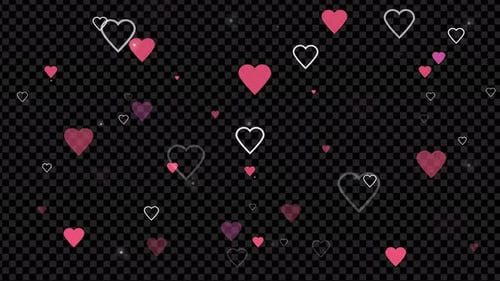 Floating Pink Hearts Loop with Alpha Channel