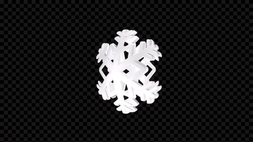 3D Snowflake Rotating Loop