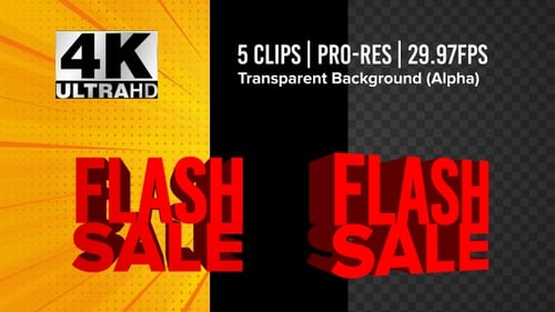 Animated Flash Sale 3D Kinetic Typography Title