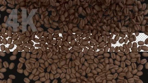 Roasted Coffee Beans Drop and Fill Screen with Alpha Channel