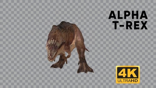 Animated Tyrannosaurus Rex Walking Cycle With Alpha Channel