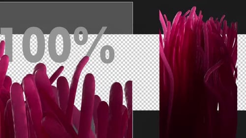 Pink Abstract Fluid Tentacles Motion Background