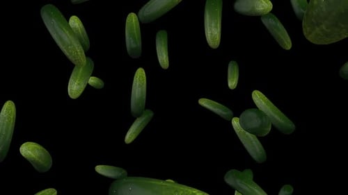 Falling Green Cucumbers with Water Droplets on Black Background