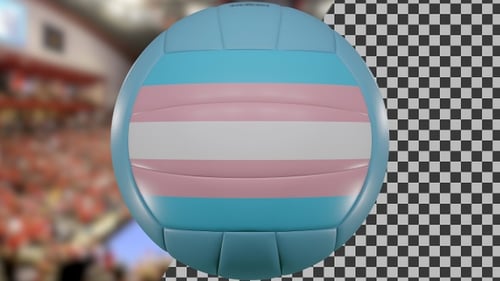 Transgender Pride Flag Volleyball Rotation Animation