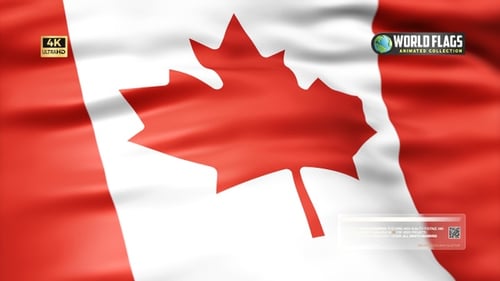 Realistic Waving Canadian Flag Seamless Loop