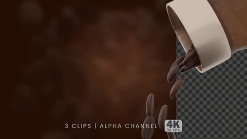 Realistic 3D Coffee Beans Pouring and Falling Alpha Channel Animation