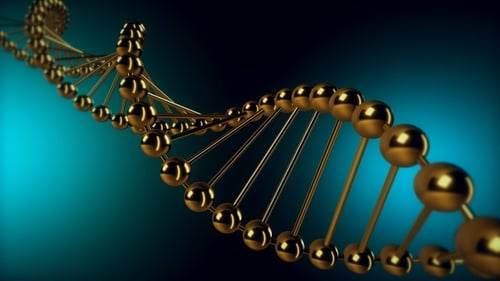 Dna 4k