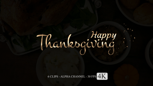 Happy Thanksgiving Metallic Brush Stroke Titles