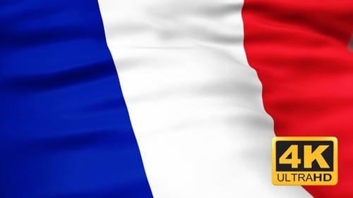 Seamless Loop Waving French National Flag Realistic Fabric