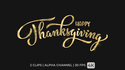 Elegant Gold and Silver Happy Thanksgiving Text Animation