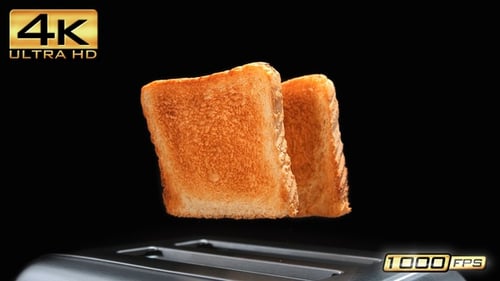 Two Golden Toasted Slices Of Sandwich Bread Popping Out Of A Chromed Toaster in Slow Motion