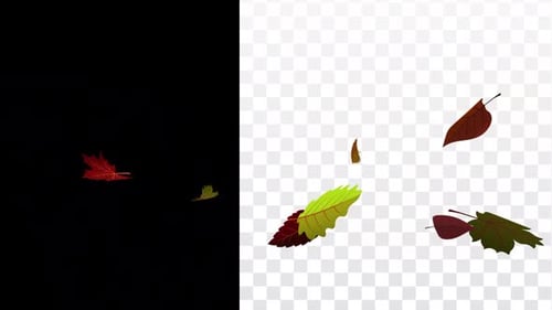 Flying Leaves 2 HD Alpha Channel