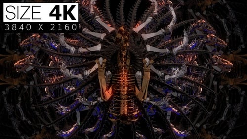 Abstract Geometric Dinosaur Skeleton Kaleidoscope Animation